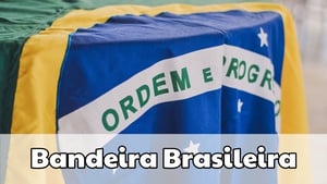 Bandeira Brasileira - I