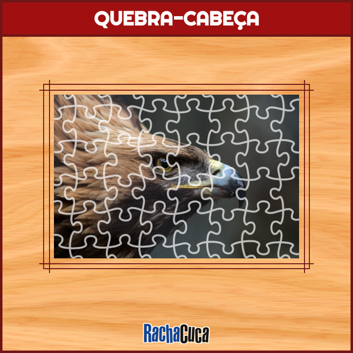 Racha Cuca - Novo: Criptograma #397