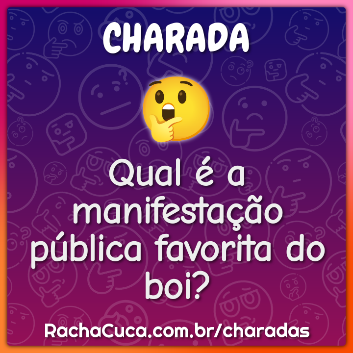Qual é a manifestação pública favorita do boi?