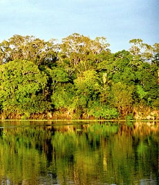 A Amazônia (ou Floresta Amazônica) é o maior bioma brasileiro e a maior reserva ambiental do mundo.