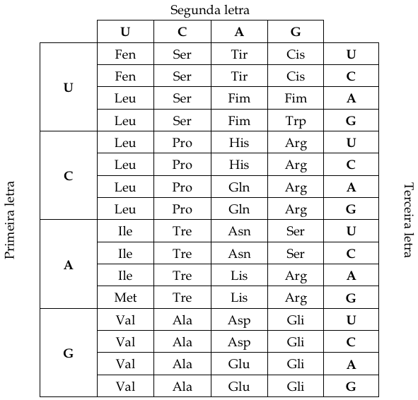 A tabela de códons mostra que existem apenas 20 aminoácidos.
