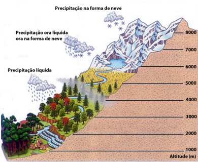 Formações Vegetais Desenvolvem-se de acordo com o tipo de CLIMA, RELEVO, E  SOLO do local onde se situam. De todos estes, o clima é o que mais se  destaca. - ppt carregar