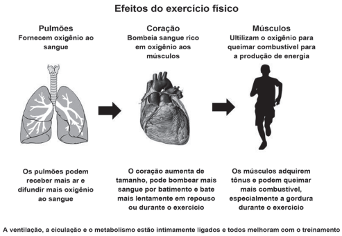 NIEMAN, D. Exercício e saúde. São Paulo: Manole, 1999 (adaptado).